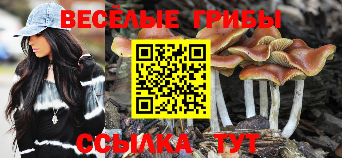 Псилоцибиновые грибы Cubensis Дзержинский
